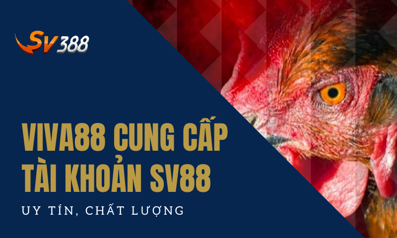 Viva88viet cung cấp tài khoản SV388 uy tín, chất lượng