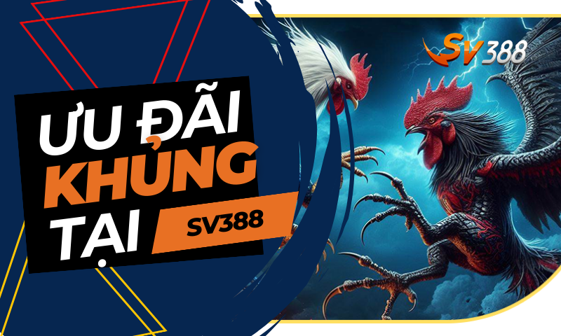 Ưu đãi cực khủng khi tham gia đăng ký tài khoản SV388 qua Viva88viet