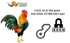 quên mật khẩu sv388