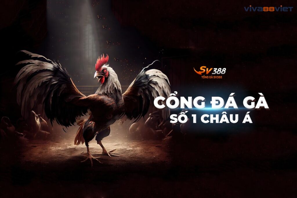 Cổng đá gà số 1 châu á